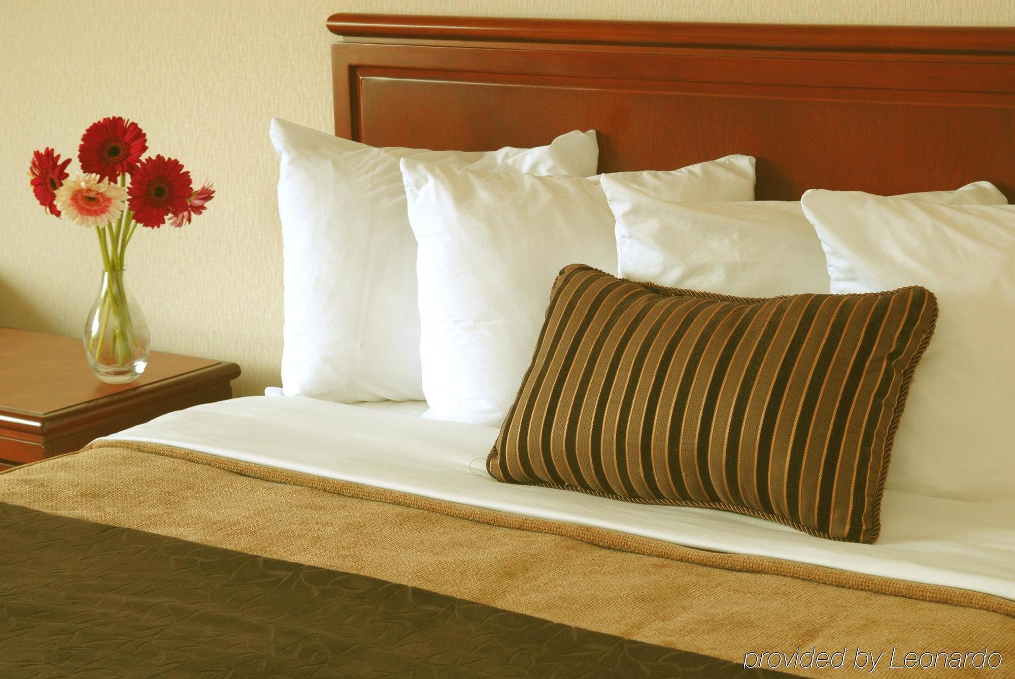 Doubletree By Hilton St. John'S Harbourview St. John's Quarto foto